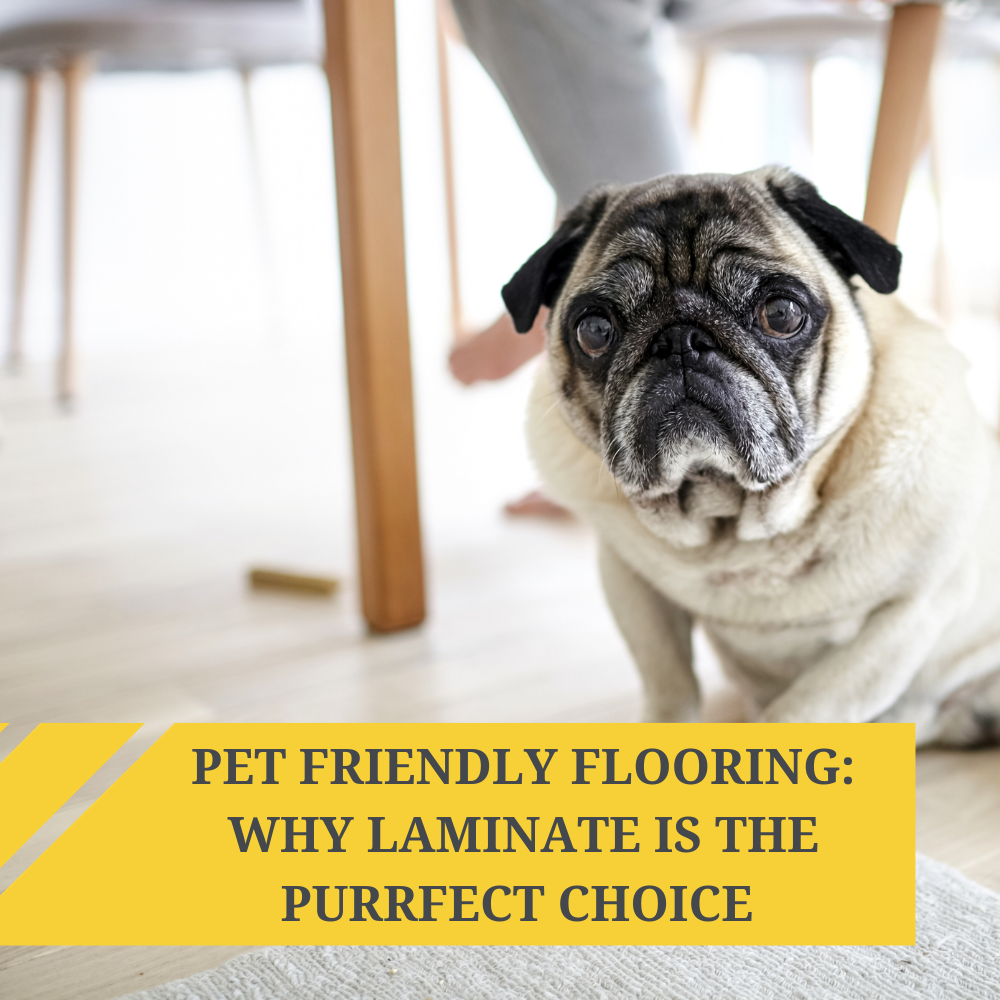 Pet Friendly Flooring: Why Laminate is the Purrfect Choice 