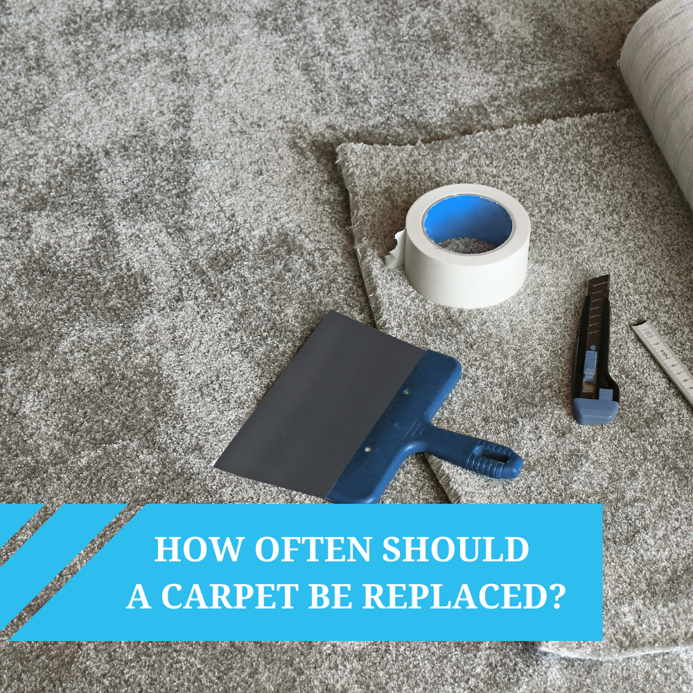 How Often Should Carpet Be Replaced?