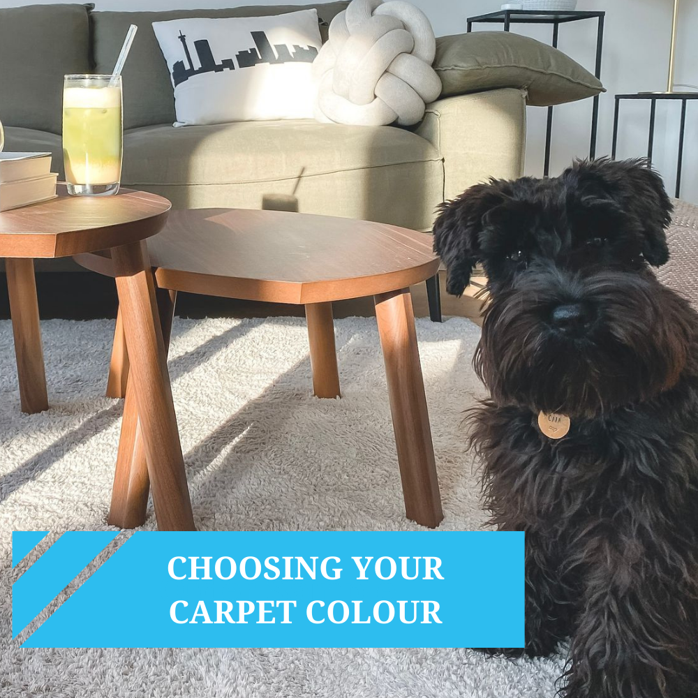 Choosing Your Carpet Colour