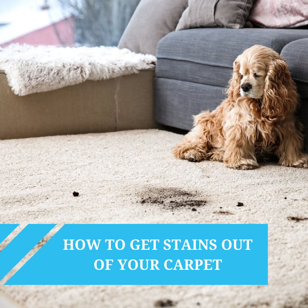 How to Get Different Stains Out of Carpet