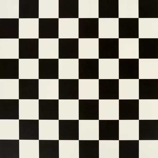 Black And White Checkerboard Cushioned Vinyl Flooring Sheet Lino For Kitchens And Bathrooms