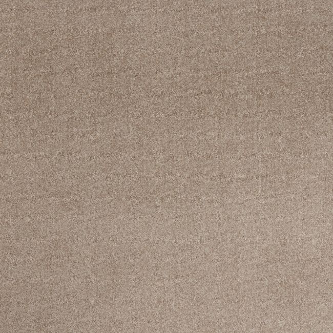 Arctic Alpen Twist Pile Carpet