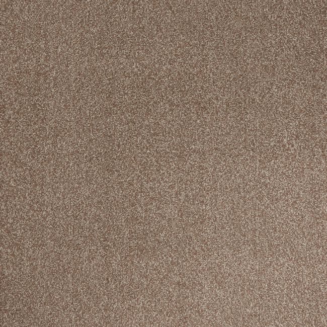 Arctic Eternal Twist Pile Carpet