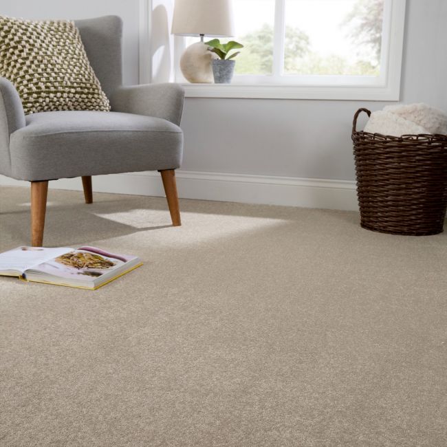 Aspire Oxford Twist Pile Carpet