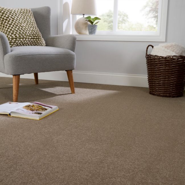 Aspire Stalk Twist Pile Carpet