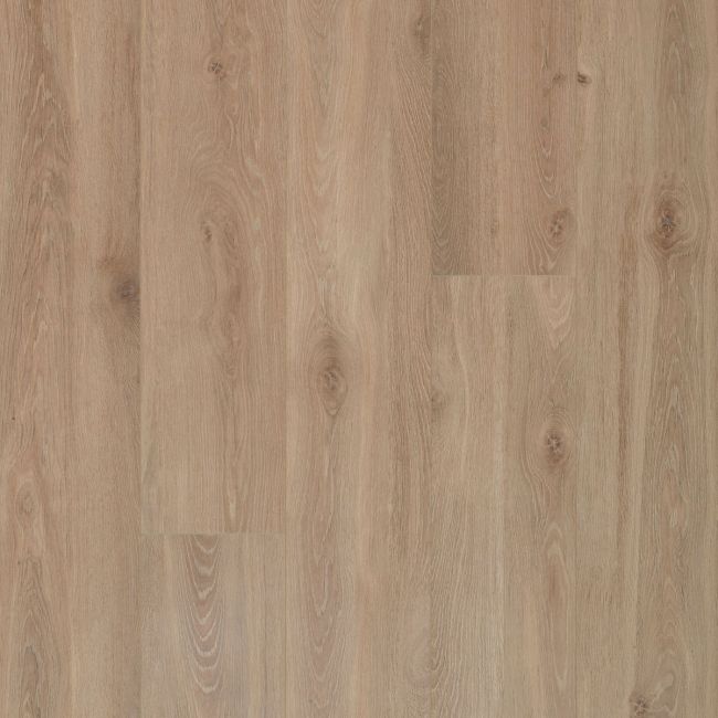 Berry Alloc Ocean+ 8 V4 Laminate Flooring Bloom Light Brown