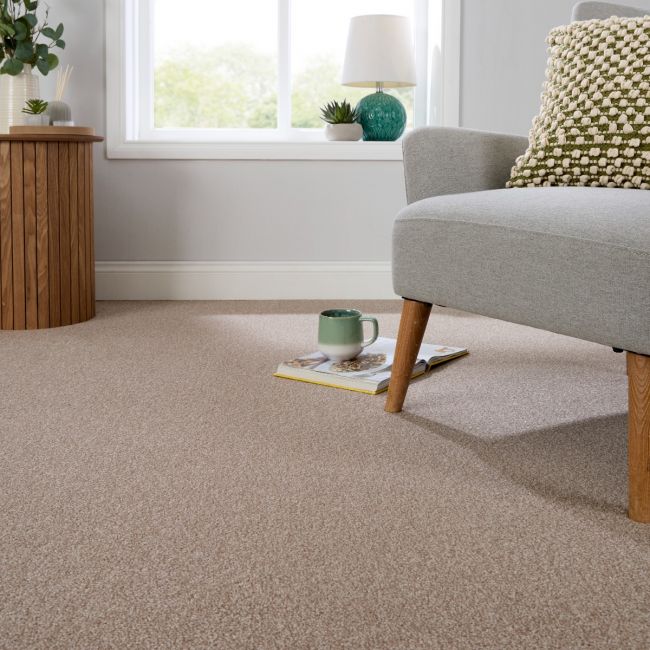 Cosy Saxony Nova Deep Pile Carpet