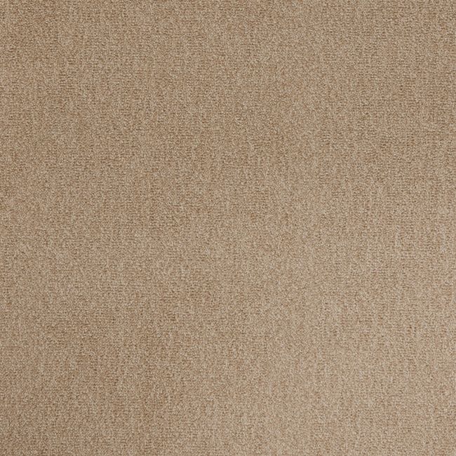 Cosy Saxony Solaris Deep Pile Carpet