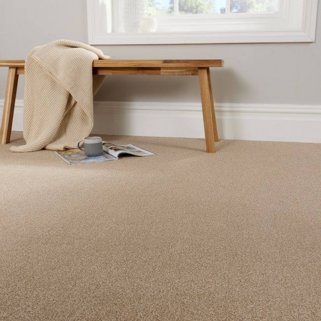 Cosy Saxony Solaris Deep Pile Carpet