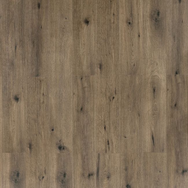 Verdanti Essential Espresso Oak 8mm Laminate Flooring