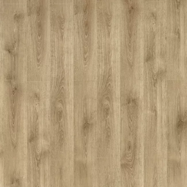 Verdanti Essential Gilded Oak Laminate 