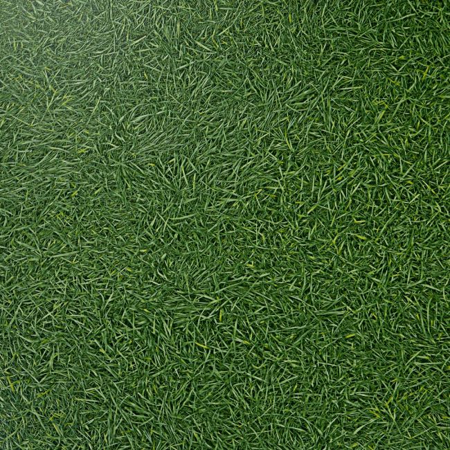 Bingo Grass Sheet Vinyl Flooring Roll End (1.93m x 2m)
