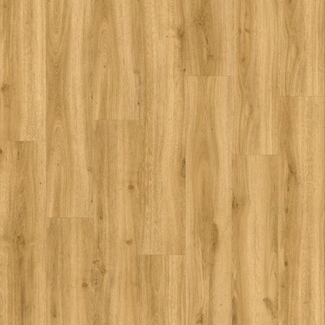 Moduleo Roots 55 XL Classic Oak 24430