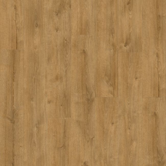 Moduleo Roots 55 EIR XL Galway Oak 87450