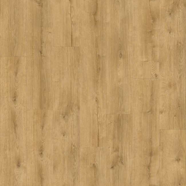 Moduleo Roots 55 EIR XL Galway Oak 87250