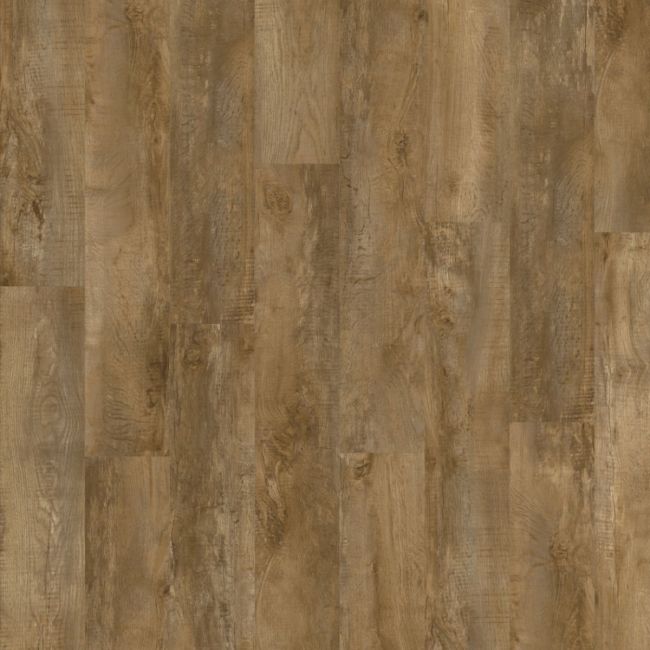 Moduleo Roots Country Oak 24842 Sample