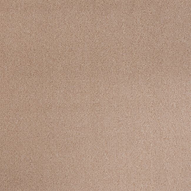 Walkover Seashell Twist Pile Carpet