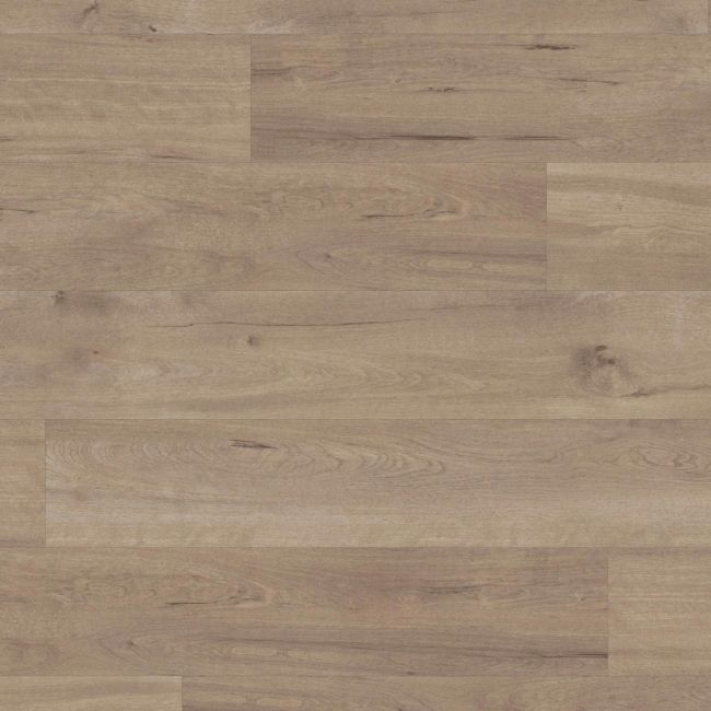 Glue Down Wood Effect Lvt In Medium Shade With Rustic Knots Karndean Van Gogh Frosted Bitch Vgw83T