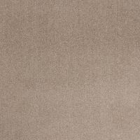 Arctic Alpen Twist Pile Carpet