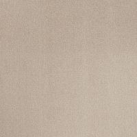 Arctic Avalanche Twist Pile Carpet