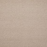 Arctic Avalanche Twist Pile Carpet