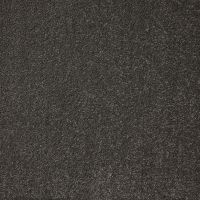 Aspire Mercury Twist Pile Carpet