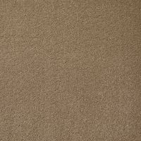 Aspire Stalk Twist Pile Carpet