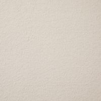 Aspire Talc Twist Pile Carpet