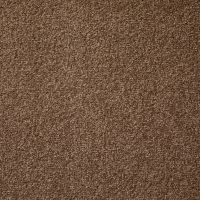 Cosy Saxony Martian Deep Pile Carpet