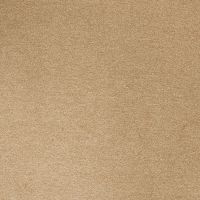 Cosy Saxony Stardust Deep Pile Carpet