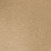 Cosy Saxony Stardust Deep Pile Carpet