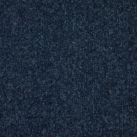 Dominance Ink Well Twist Pile Carpet