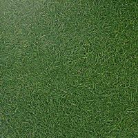 Bingo Cushion Vinyl Flooring Sheet Grass 025