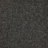 Leo Twist Obsidian Short Pile Carpet