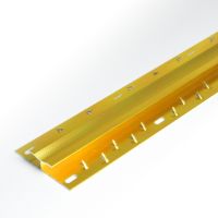 Gold Double Door Threshold