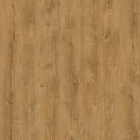 Moduleo Roots 55 EIR XL Galway Oak 87450