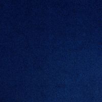 Walkover Navy Twist Pile Carpet