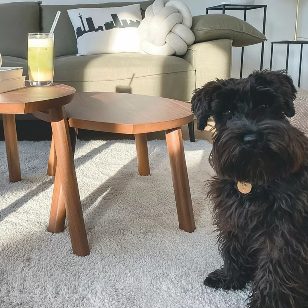 Choosing Your Carpet Colour