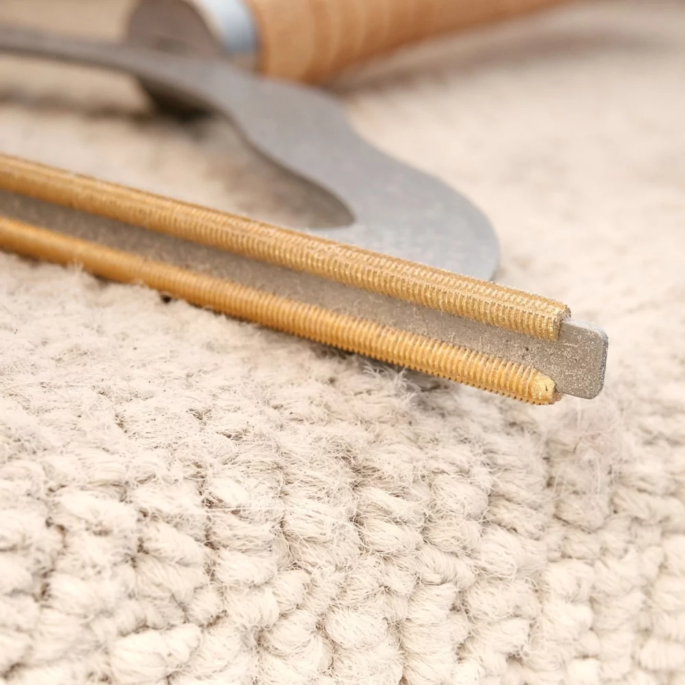 Carpet brush