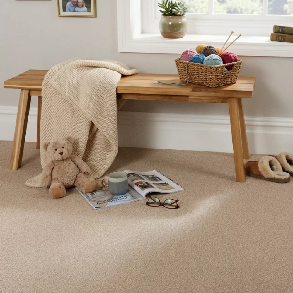Fresh, well-maintained carpet in a modern living room