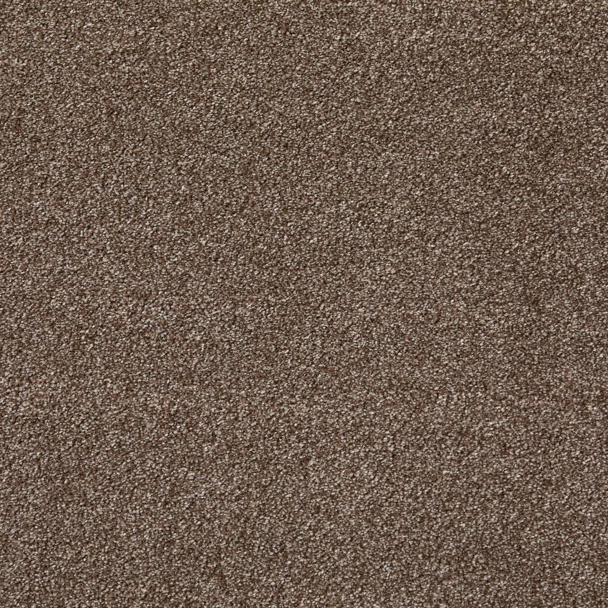 Arctic Twist Eternal Carpet