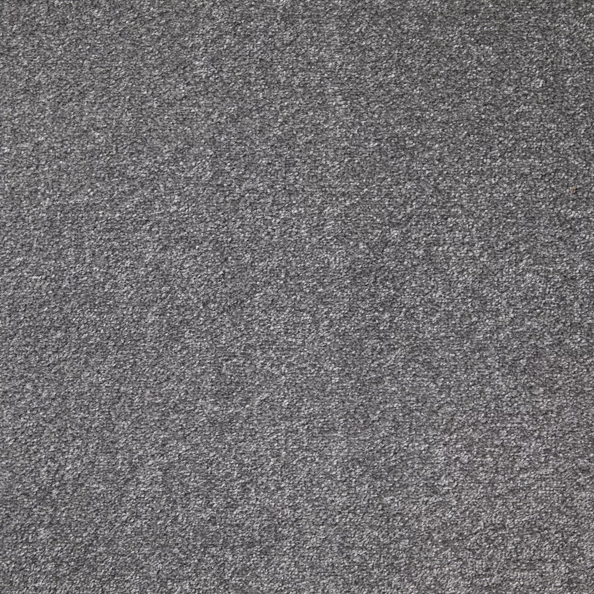 Arctic Twist Frost Carpet
