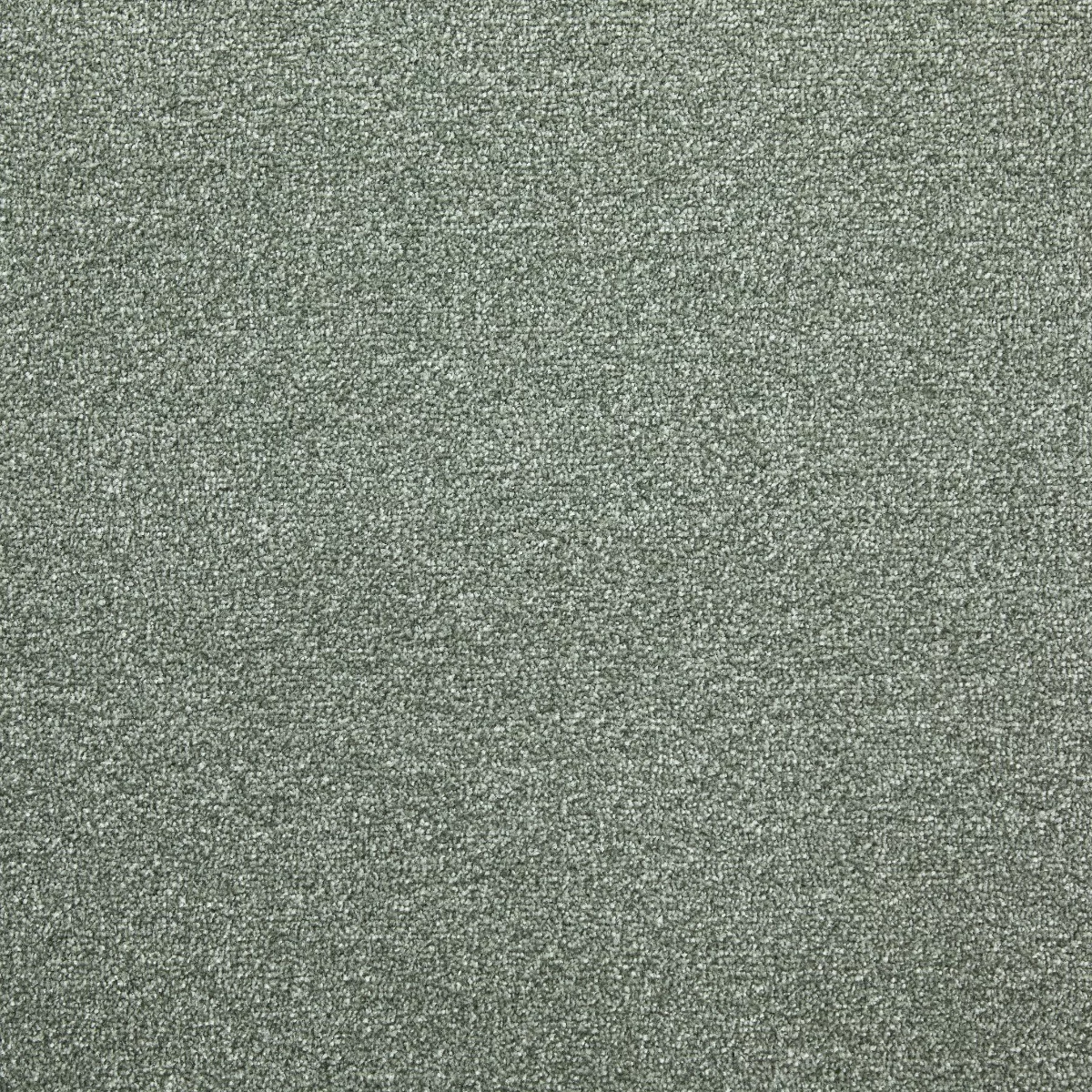 Arctic Twist Lichen Carpet