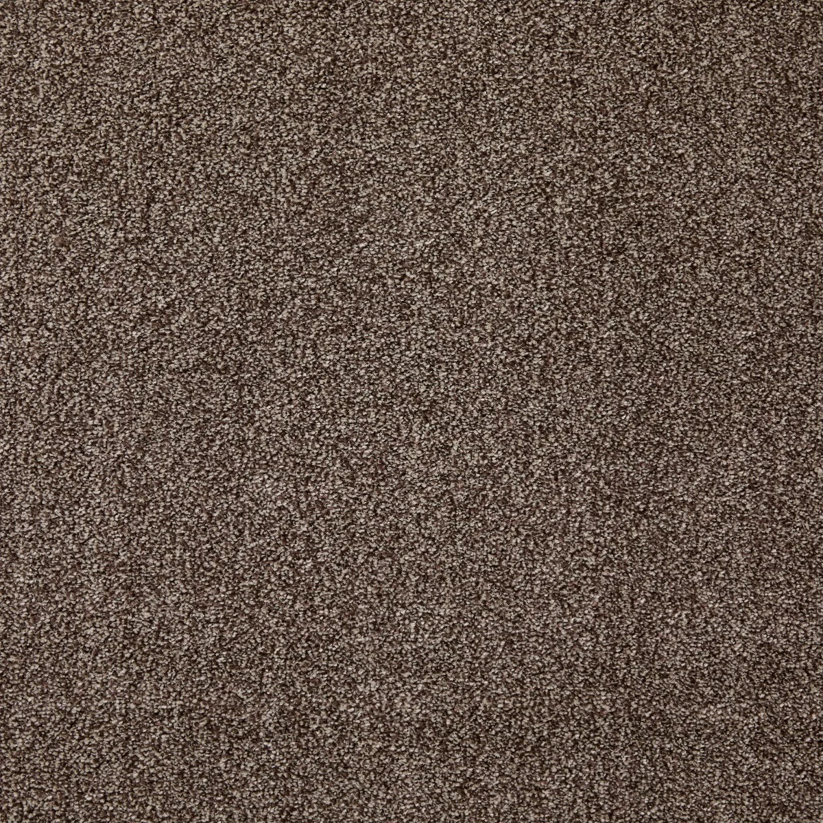 Arctic Twist Peat Carpet