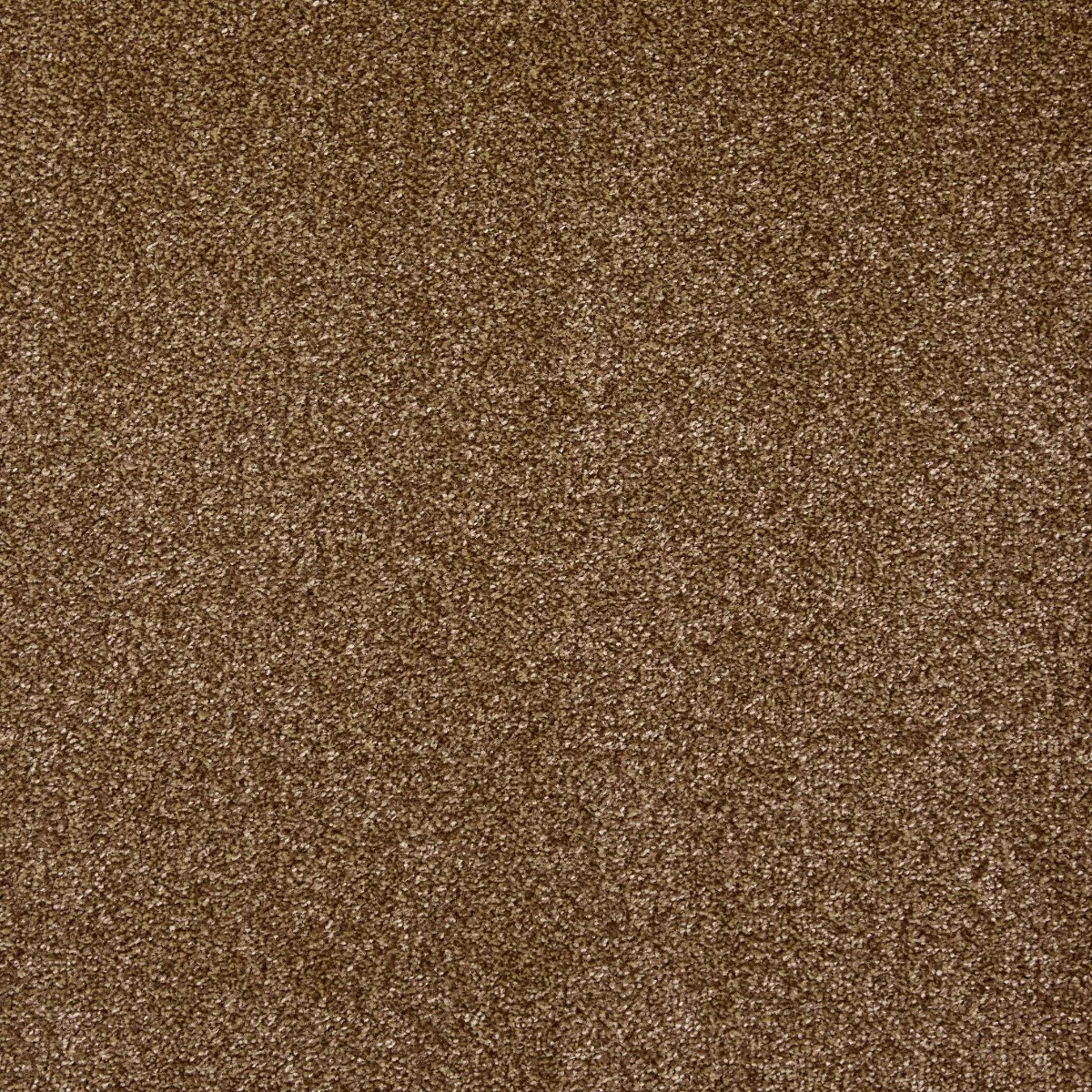 Arctic Twist Walrus Carpet