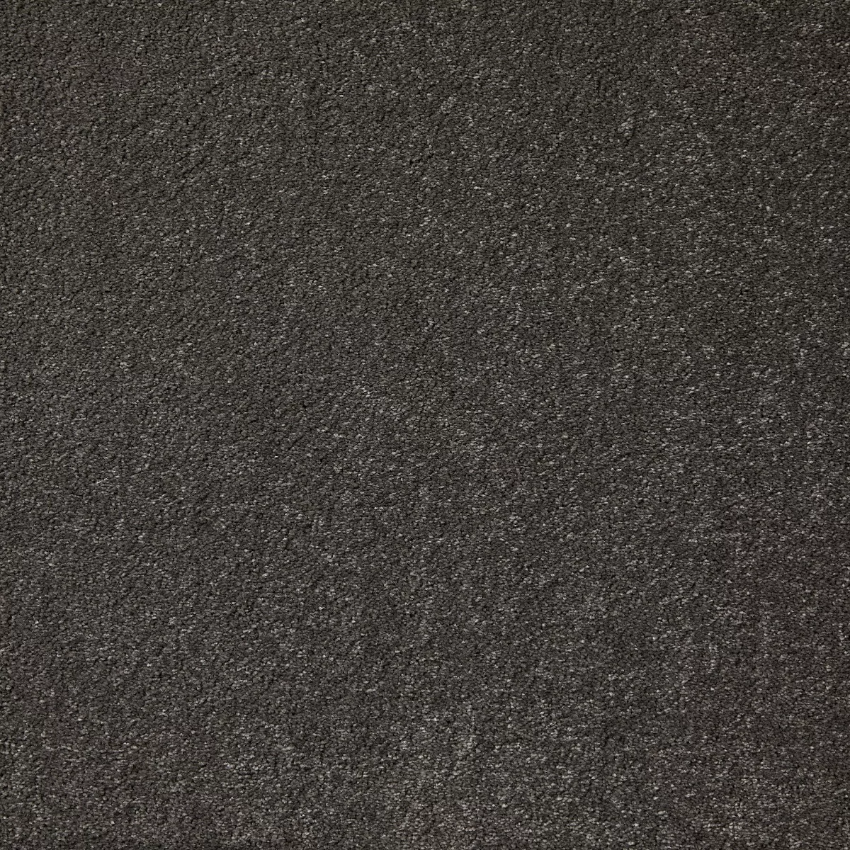 Aspire Mercury Carpet