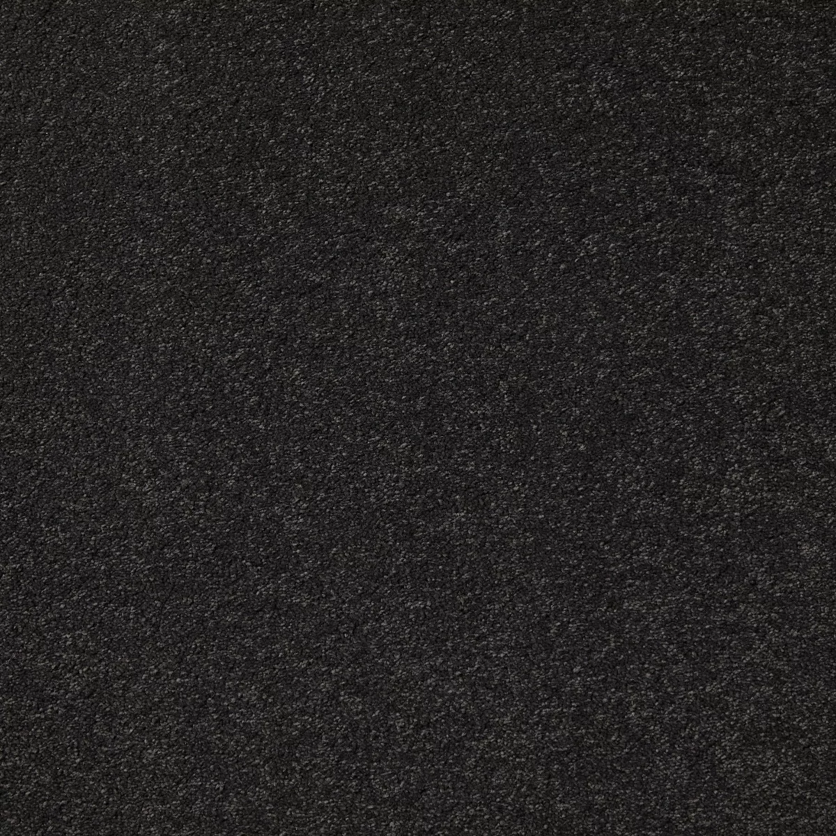 Aspire Onyx Carpet