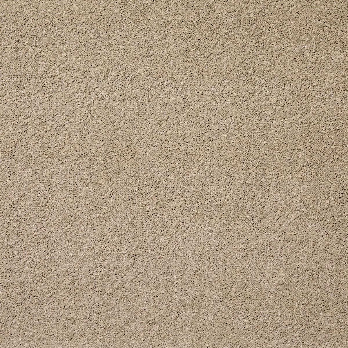 Aspire Oxford Carpet