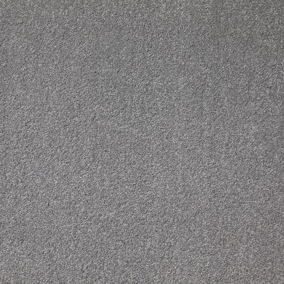 Aspire Scale Carpet