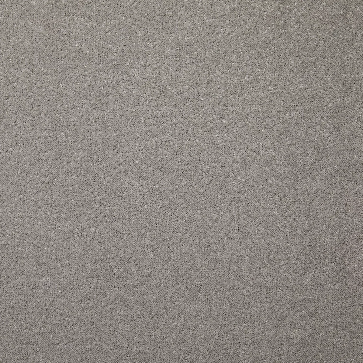 Aspire Shimmer Carpet